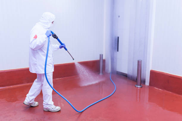 Boat and Dock Cleaning in Prospect, KY